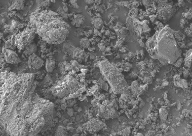 Imagen_LIVINGREEFS_2